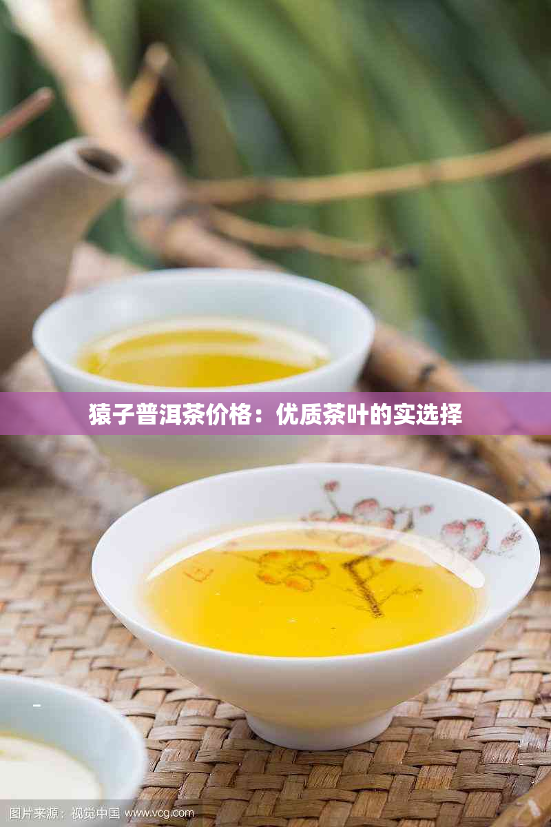 猿子普洱茶价格：优质茶叶的实选择