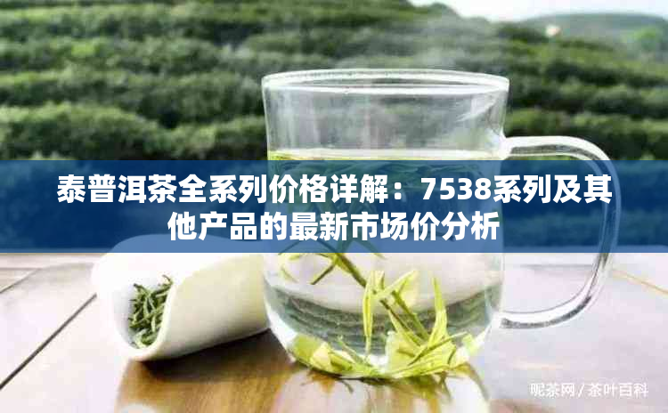 泰普洱茶全系列价格详解：7538系列及其他产品的最新市场价分析