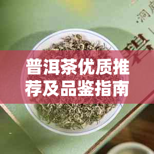 普洱茶优质推荐及品鉴指南：了解如何挑选与品尝