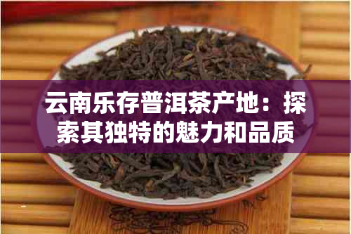 云南乐存普洱茶产地：探索其独特的魅力和品质