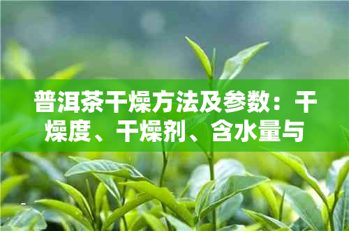 普洱茶干燥方法及参数：干燥度、干燥剂、含水量与箱子选择