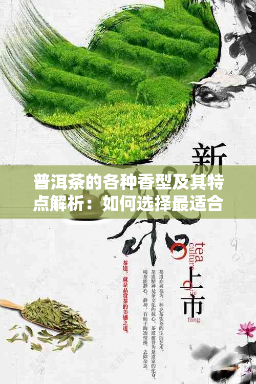 普洱茶的各种香型及其特点解析：如何选择最适合你的茶叶？