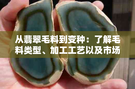 从翡翠毛料到变种：了解毛料类型、加工工艺以及市场价值的全方位指南