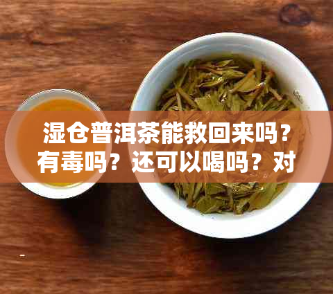 湿仓普洱茶能救回来吗？有吗？还可以喝吗？对身体有害吗？