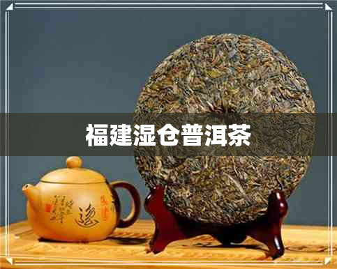 福建湿仓普洱茶