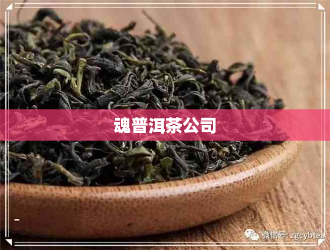 魂普洱茶公司