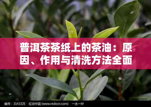 普洱茶茶纸上的茶油：原因、作用与清洗方法全面解析