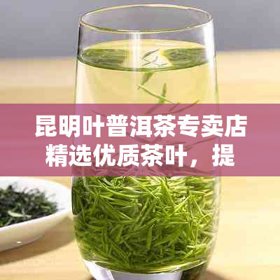 昆明叶普洱茶专卖店精选优质茶叶，提供专业的普洱茶品鉴与购买服务