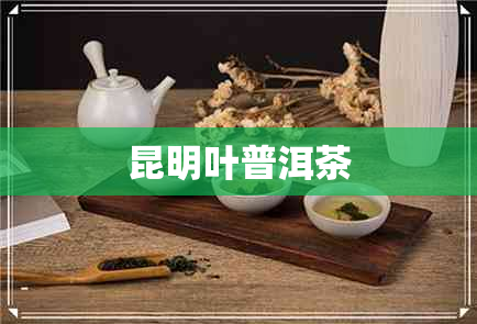 昆明叶普洱茶