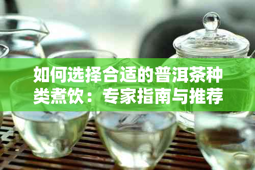 如何选择合适的普洱茶种类煮饮：专家指南与推荐