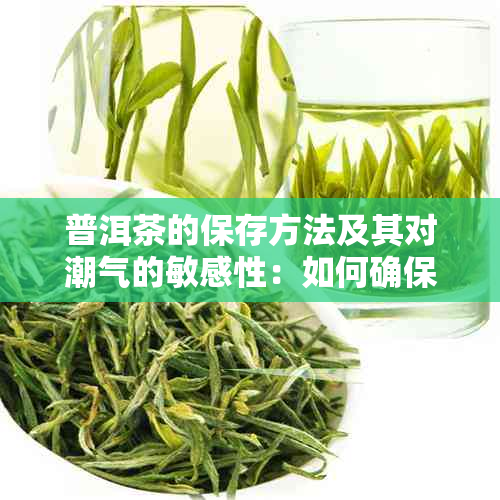 普洱茶的保存方法及其对潮气的敏感性：如何确保普洱茶品质稳定？