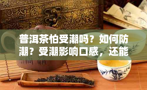 普洱茶怕受潮吗？如何防潮？受潮影响口感，还能喝吗？如何存放避免热？