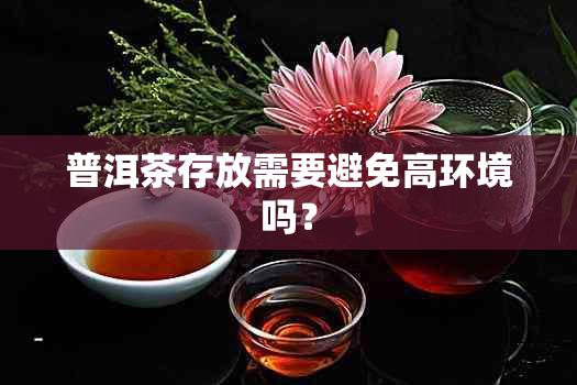 普洱茶存放需要避免高环境吗？