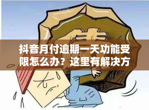 抖音月付逾期一天功能受限怎么办？这里有解决方案！