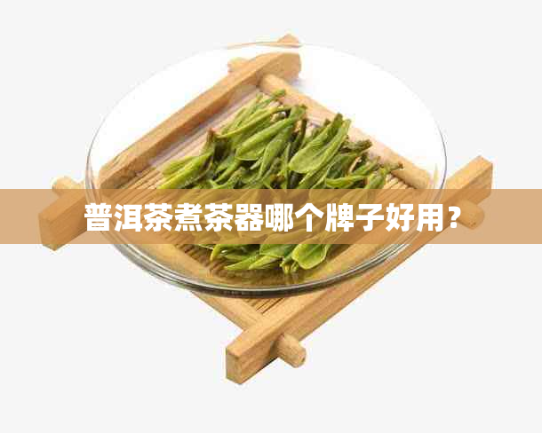 普洱茶煮茶器哪个牌子好用？