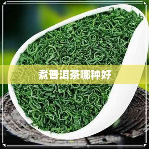 煮普洱茶哪种好