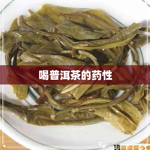 喝普洱茶的性