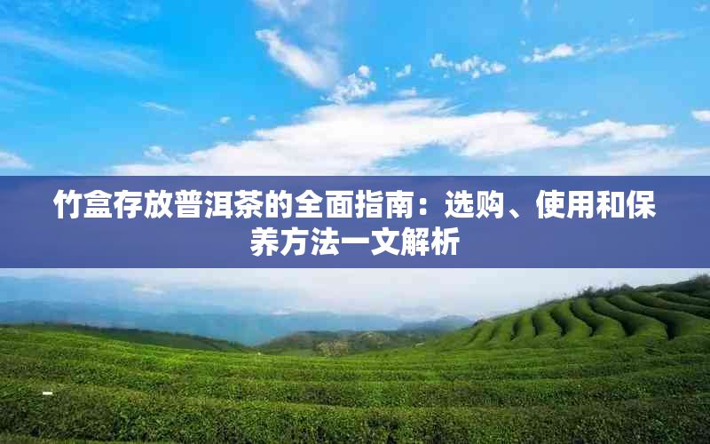 竹盒存放普洱茶的全面指南：选购、使用和保养方法一文解析