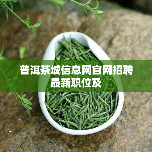 普洱茶城信息网官网招聘最新职位及