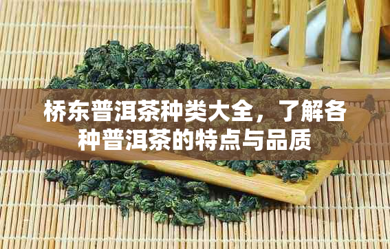 桥东普洱茶种类大全，了解各种普洱茶的特点与品质