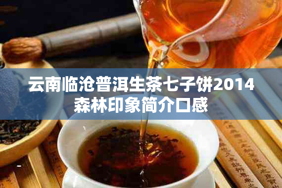 云南临沧普洱生茶七子饼2014森林印象简介口感