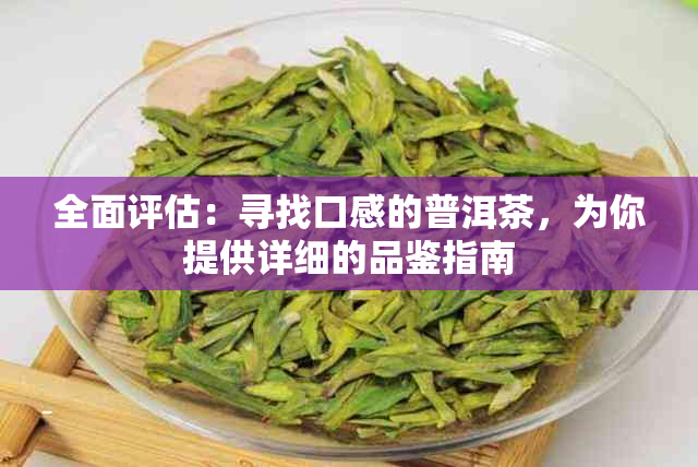 全面评估：寻找口感的普洱茶，为你提供详细的品鉴指南