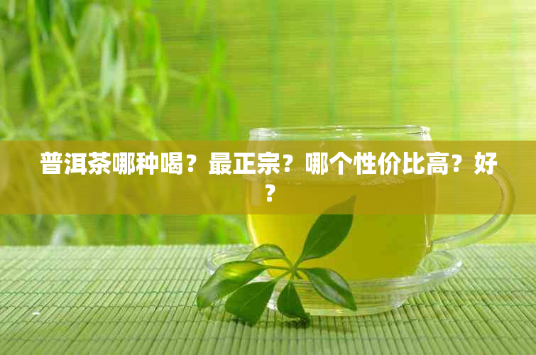 普洱茶哪种喝？最正宗？哪个性价比高？好？