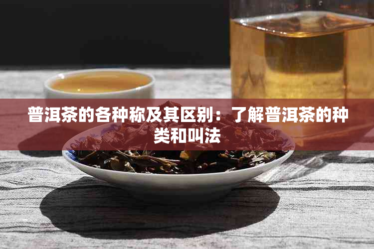 普洱茶的各种称及其区别：了解普洱茶的种类和叫法