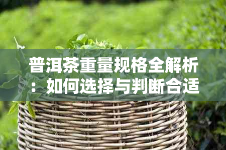 普洱茶重量规格全解析：如何选择与判断合适的茶叶克重？