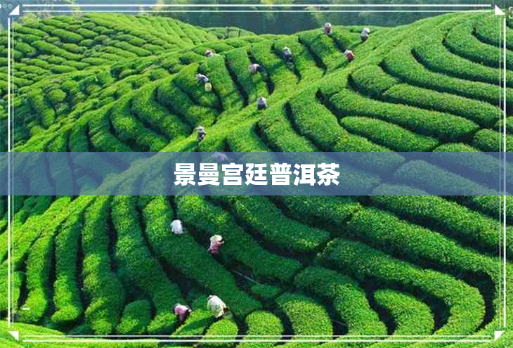 景曼宫廷普洱茶