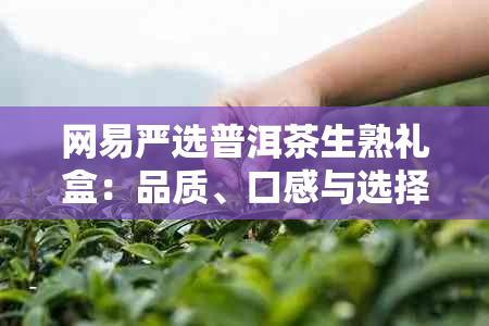 网易严选普洱茶生熟礼盒：品质、口感与选择的全面指南