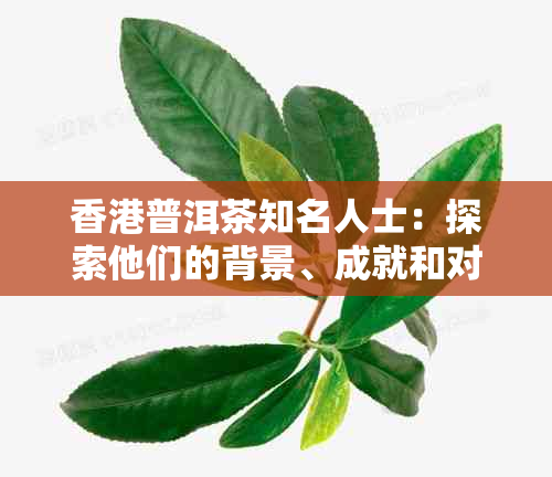 普洱茶知名人士：探索他们的背景、成就和对普洱茶文化的贡献