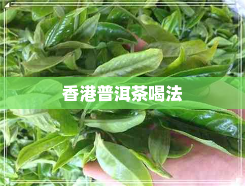 普洱茶喝法