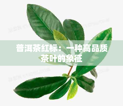 普洱茶红标：一种高品质茶叶的象征