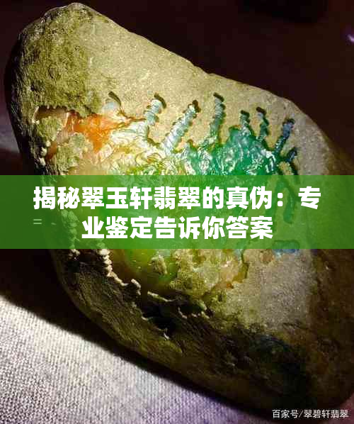 揭秘翠玉轩翡翠的真伪：专业鉴定告诉你答案