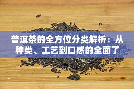 普洱茶的全方位分类解析：从种类、工艺到口感的全面了解