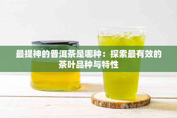 最提神的普洱茶是哪种：探索最有效的茶叶品种与特性