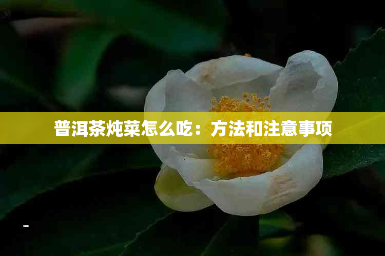 普洱茶炖菜怎么吃：方法和注意事项