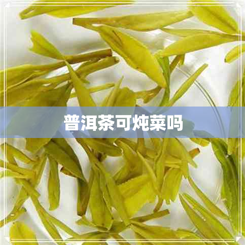 普洱茶可炖菜吗