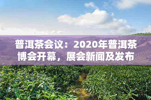 普洱茶会议：2020年普洱茶博会开幕，展会新闻及发布会