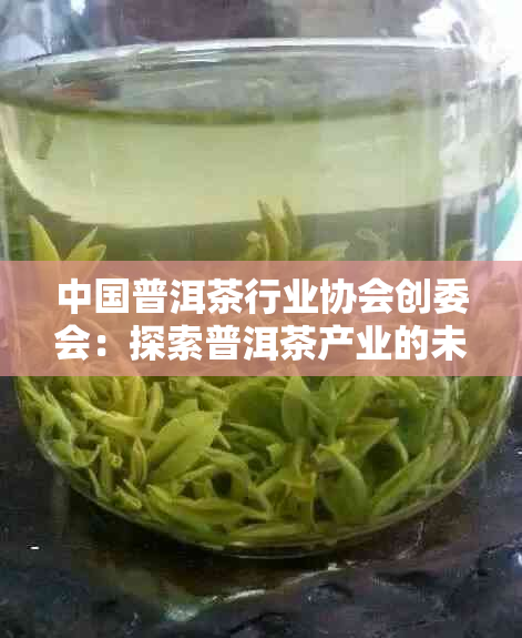 中国普洱茶行业协会创委会：探索普洱茶产业的未来发展与创新