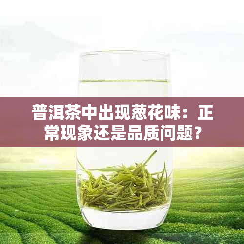 普洱茶中出现葱花味：正常现象还是品质问题？