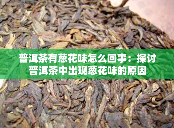 普洱茶有葱花味怎么回事：探讨普洱茶中出现葱花味的原因