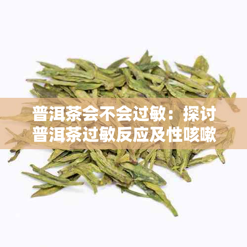 普洱茶会不会过敏：探讨普洱茶过敏反应及性咳嗽问题