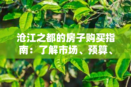 沧江之都的房子购买指南：了解市场、预算、购房流程等全方位信息