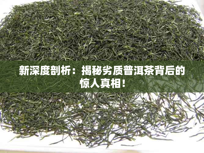 新深度剖析：揭秘劣质普洱茶背后的惊人真相！