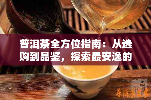 普洱茶全方位指南：从选购到品鉴，探索最安逸的普洱茶体验