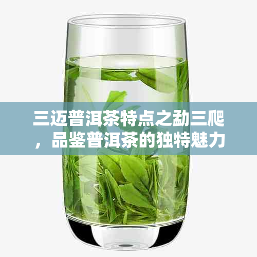 三迈普洱茶特点之勐三爬，品鉴普洱茶的独特魅力