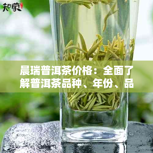 晨瑞普洱茶价格：全面了解普洱茶品种、年份、品质与市场价格