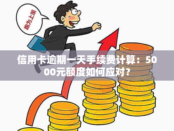 信用卡逾期一天手续费计算：5000元额度如何应对？